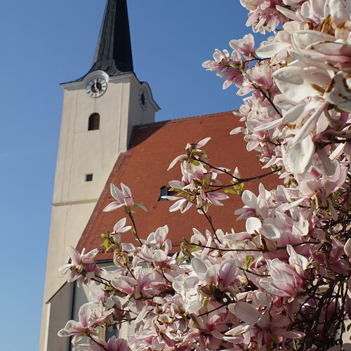 Pfarrkirche